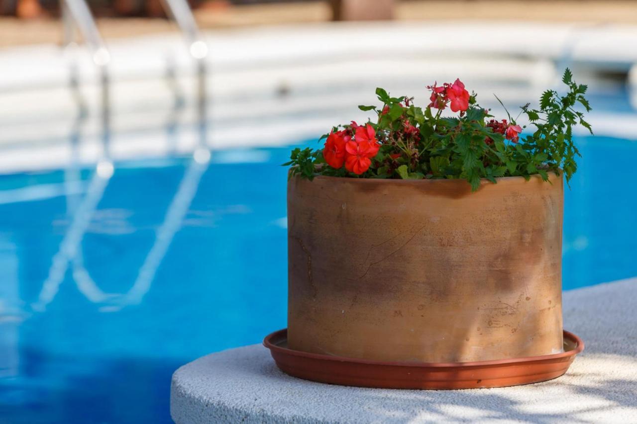 Casita Eras En De Con Piscina Nijar